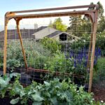 Verduras de primavera fáciles de cultivar en jardines pequeños