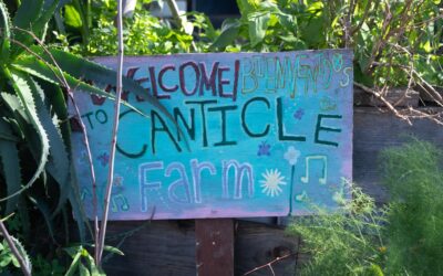 At Canticle Farm, Food and Community Are Prayer for a Better World