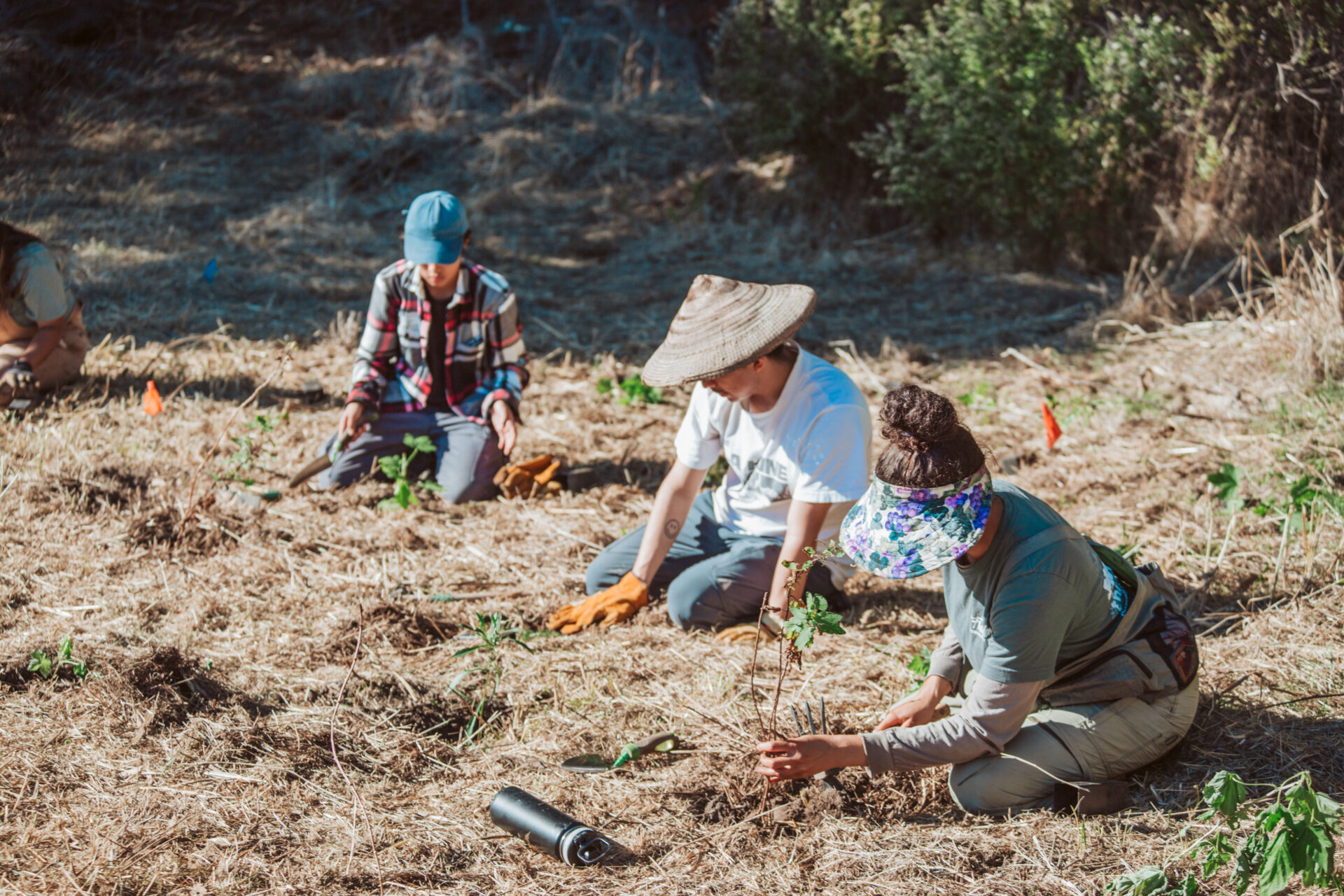Tres personas trabajando con herramientas de jardiner&iacute;a.