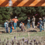 Agroecology Commons Weathers a Weird Winter and Political Storms