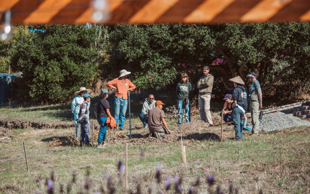 En la granja agroecológica Agroecology Commons, las nutrias han vuelto
