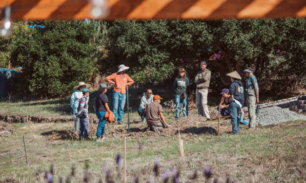 En la granja agroecológica Agroecology Commons, las nutrias han vuelto