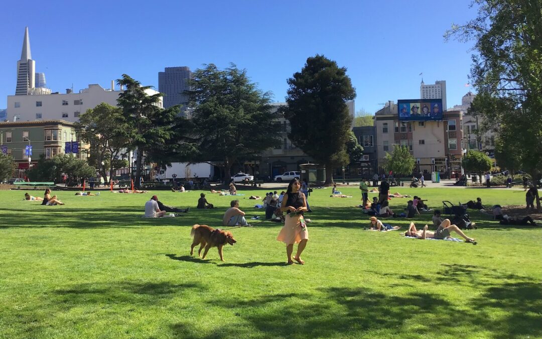 San Francisco County Climate Resilience