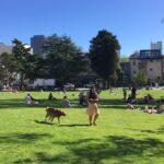 San Francisco County Climate Resilience