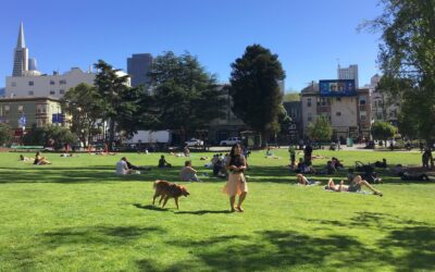 San Francisco County Climate Resilience