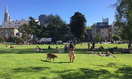 San Francisco County Climate Resilience