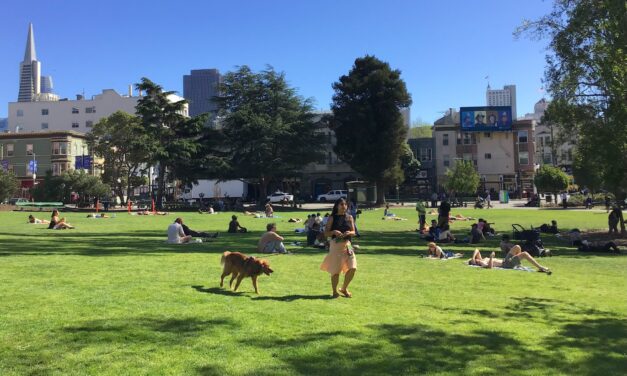 San Francisco County Climate Resilience
