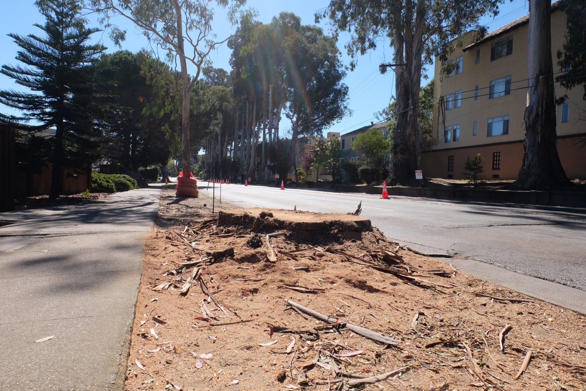 Crealock and McCarthy at a local stable near Fairfax, where beloved horses remain at risk in a fast-moving fire. 