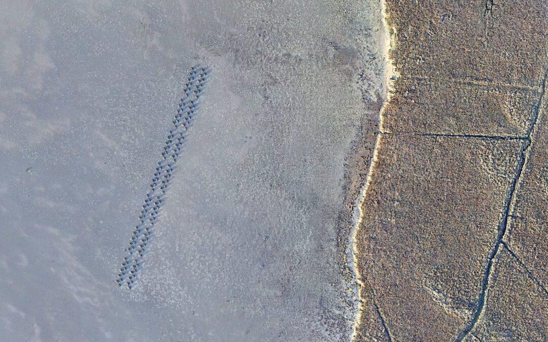 Living Shorelines Test Run Reports Back