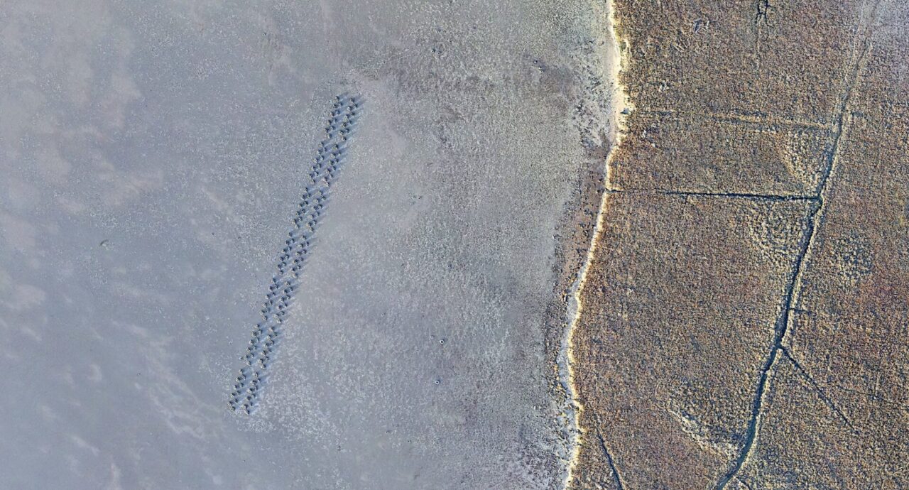 Drone picture of shore of Giant Marsh, with artificial reef structures visible on the left.