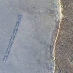 Living Shorelines Test Run Reports Back