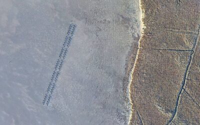 Living Shorelines Test Run Reports Back