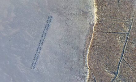 Living Shorelines Test Run Reports Back