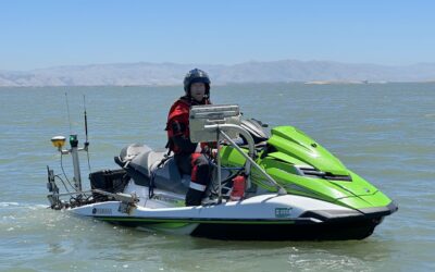 Is Placing Sediment in the Shallows to Feed Marshes Working?