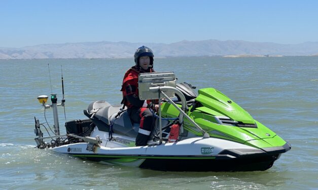 Is Placing Sediment in the Shallows to Feed Marshes Working?