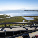 Saving Two Marshes From the Squeeze