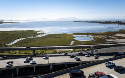Saving Two Marshes From the Squeeze