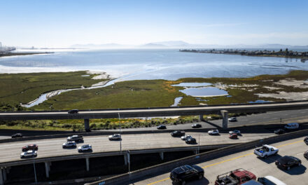 Saving Two Marshes From the Squeeze