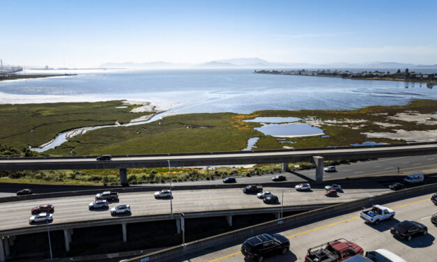 Saving Two Marshes From the Squeeze