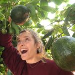Could Avocados Be A Transformational Fruit for the Bay Region?