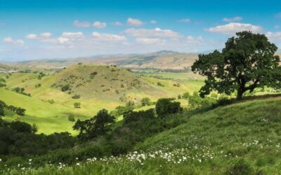 A New Tax to Maintain Green Spaces Around Santa Clara?