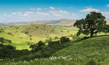 A New Tax to Maintain Green Spaces Around Santa Clara?