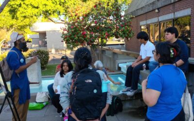 Finding the Sweet Spot for Local Economies