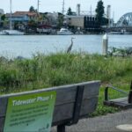Nuevos proyectos costeros podrían añadir 168 acres de parques a la Bahía Este
