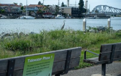 Nuevos proyectos costeros podrían añadir 168 acres de parques a la Bahía Este