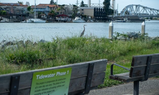 Nuevos proyectos costeros podrían añadir 168 acres de parques a la Bahía Este