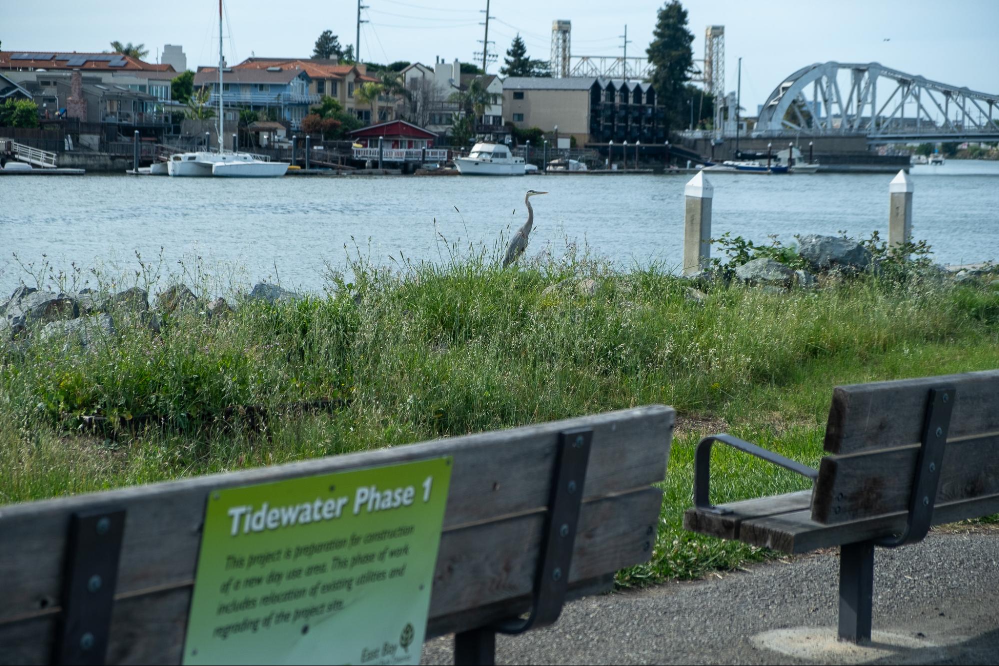 A heron is visible behind a sign reading "Tidewater Phase 1"