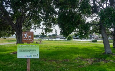 New Shoreline Projects Could Add 168 Acres of Parks to the East Bay