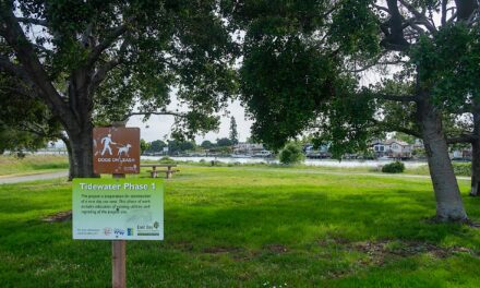 New Shoreline Projects Could Add 168 Acres of Parks to the East Bay