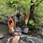 12 Creek Types: Which One Is In Your Backyard? 