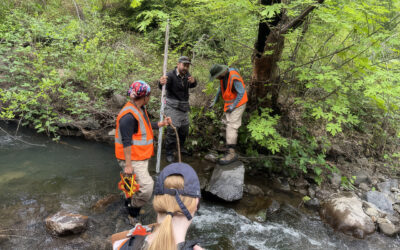 12 Creek Types: Which One Is In Your Backyard?