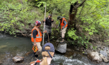 12 Creek Types: Which One Is In Your Backyard? 