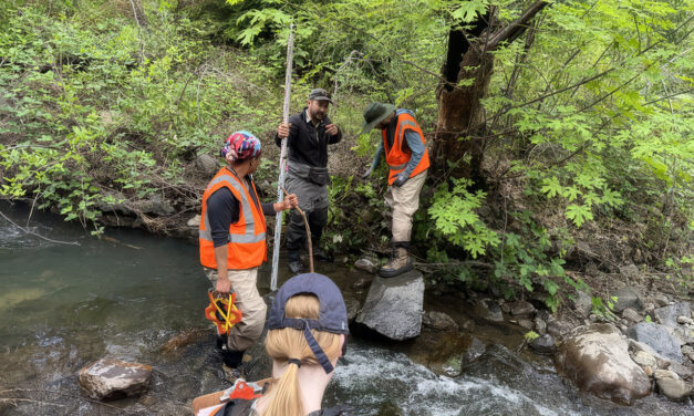 12 Creek Types: Which One Is In Your Backyard? 