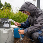 New Study Shows Rain Gardens Filter Chemicals Out of Stormwater