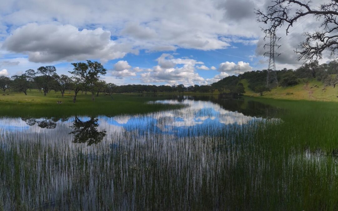 How a North Bay Regional Park Helped Me Reconnect With Nature — and Myself