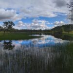 How a North Bay Regional Park Helped Me Reconnect With Nature — and Myself