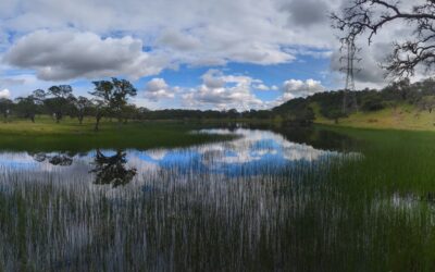 How a North Bay Regional Park Helped Me Reconnect With Nature — and Myself