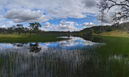 How a North Bay Regional Park Helped Me Reconnect With Nature — and Myself