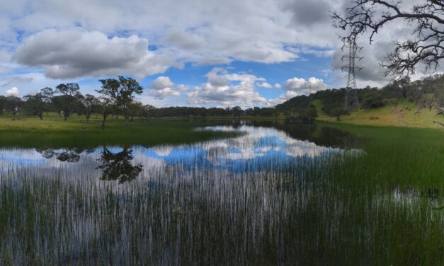 How a North Bay Regional Park Helped Me Reconnect With Nature — and Myself