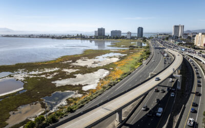 Guide to Nature-Based Infrastructure Around the Bay Area