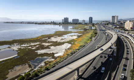 Guide to Nature-Based Infrastructure Around the Bay Area