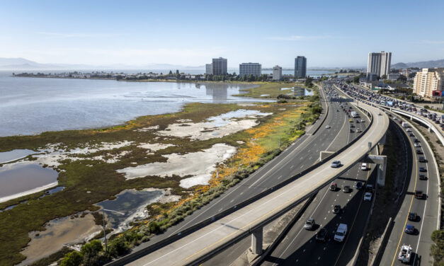 Guide to Nature-Based Infrastructure Around the Bay Area