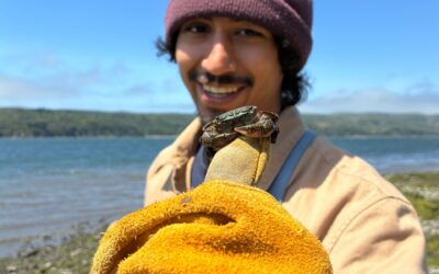 How to Make Conservation a Career 