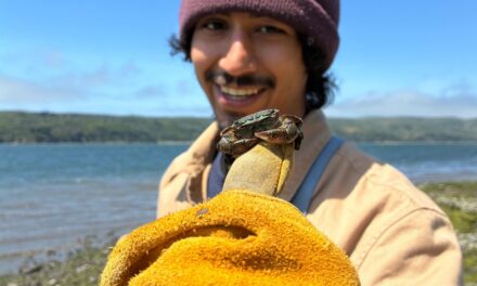 How to Make Conservation a Career 