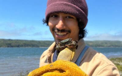 How to Make Conservation a Career 