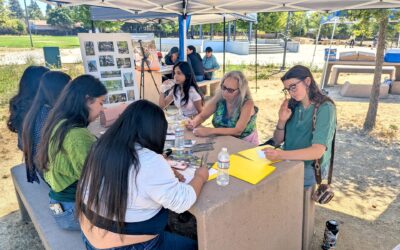 Santa Rosa Residents Rethink Trees
